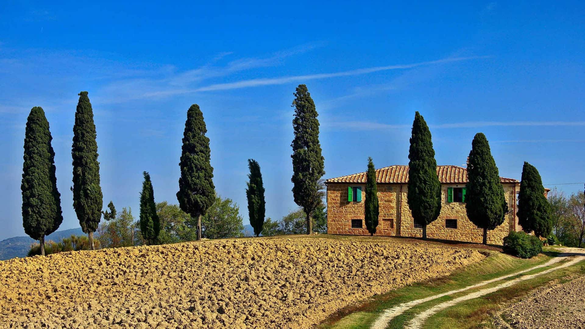 ristrutturazione tenute agricole in campagna con cipressi e terra coltivata